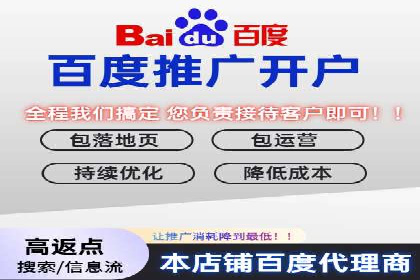 百度推广服务费案例：打造爆款产品营销策略